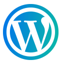 WordPress Theme Development Company in Delhi
